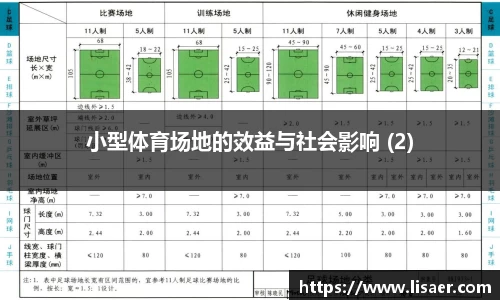 小型体育场地的效益与社会影响 (2)